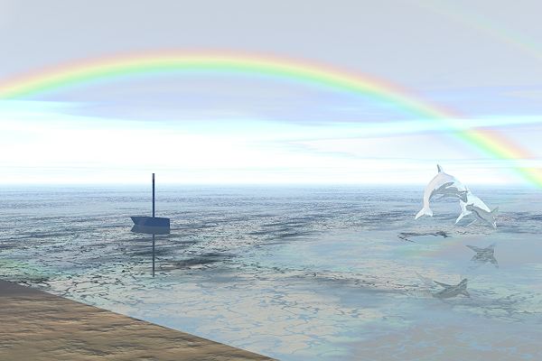 Dolphins with Rainbow