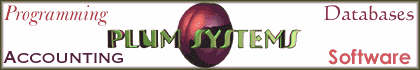 Plums Systems running man banner
